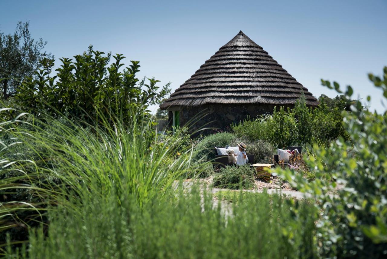 Is Cheas Wine Farm Boutique Hotel San Vero Milis Экстерьер фото