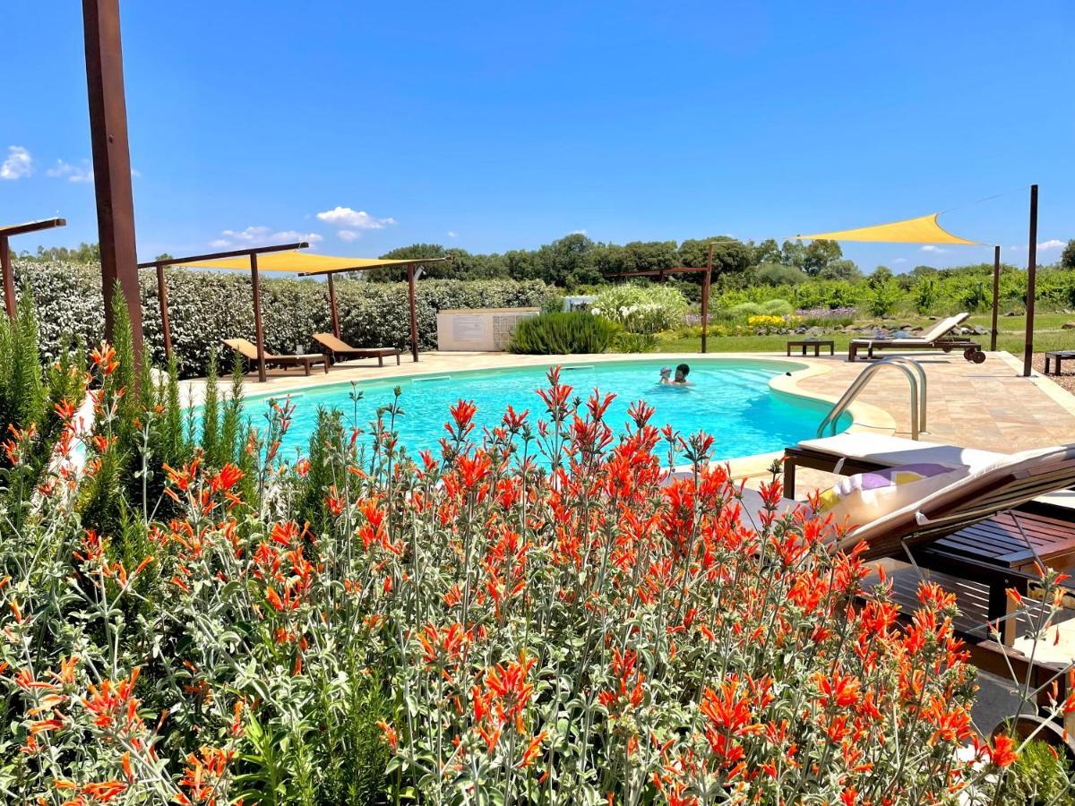 Is Cheas Wine Farm Boutique Hotel San Vero Milis Экстерьер фото