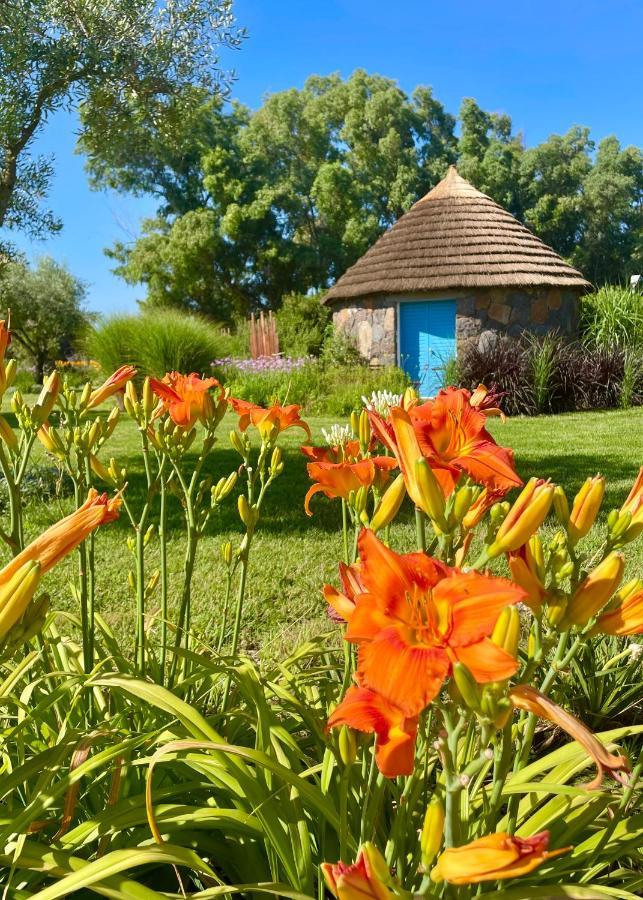 Is Cheas Wine Farm Boutique Hotel San Vero Milis Экстерьер фото