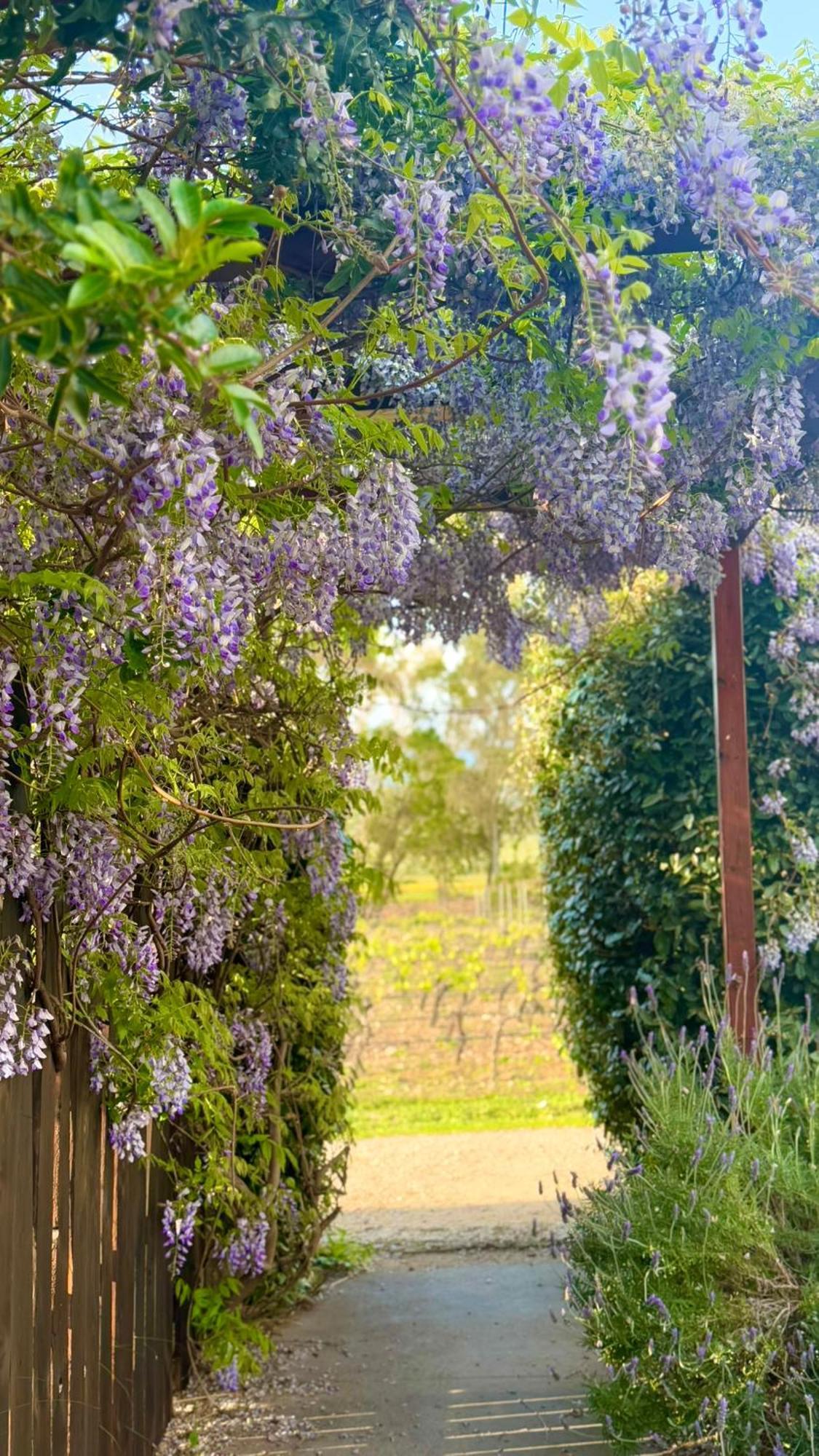 Is Cheas Wine Farm Boutique Hotel San Vero Milis Экстерьер фото